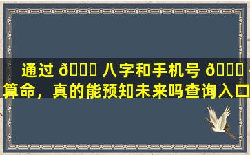 通过 🐞 八字和手机号 🐘 码算命，真的能预知未来吗查询入口在哪